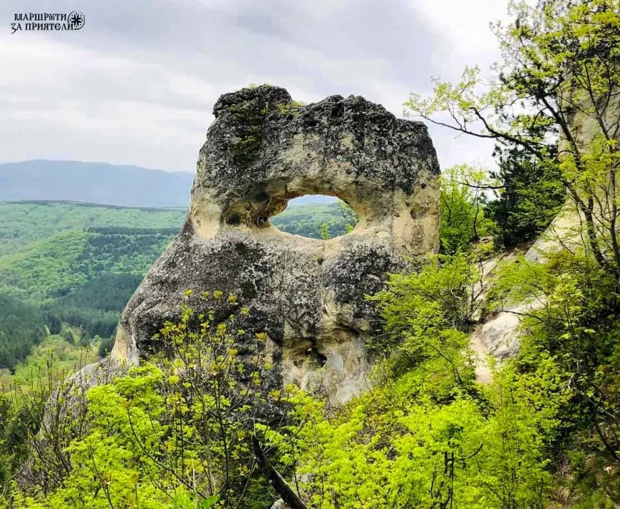 SEO Optimization Prices